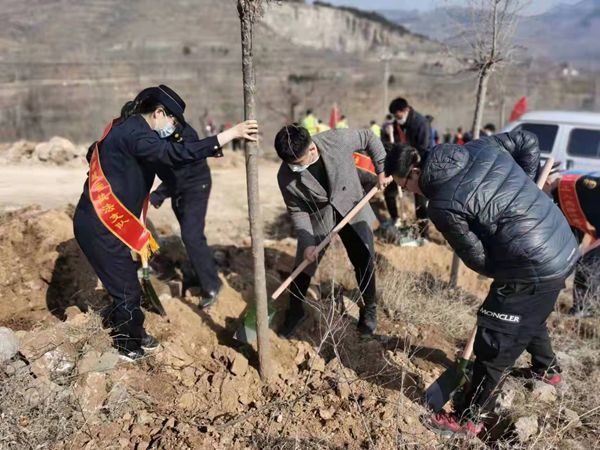 植樹(shù)添新綠，不負(fù)好春光！山東三箭集團(tuán)開(kāi)展義務(wù)植樹(shù)活動(dòng)